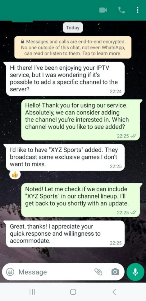 Customer WhatsApp conversation 3